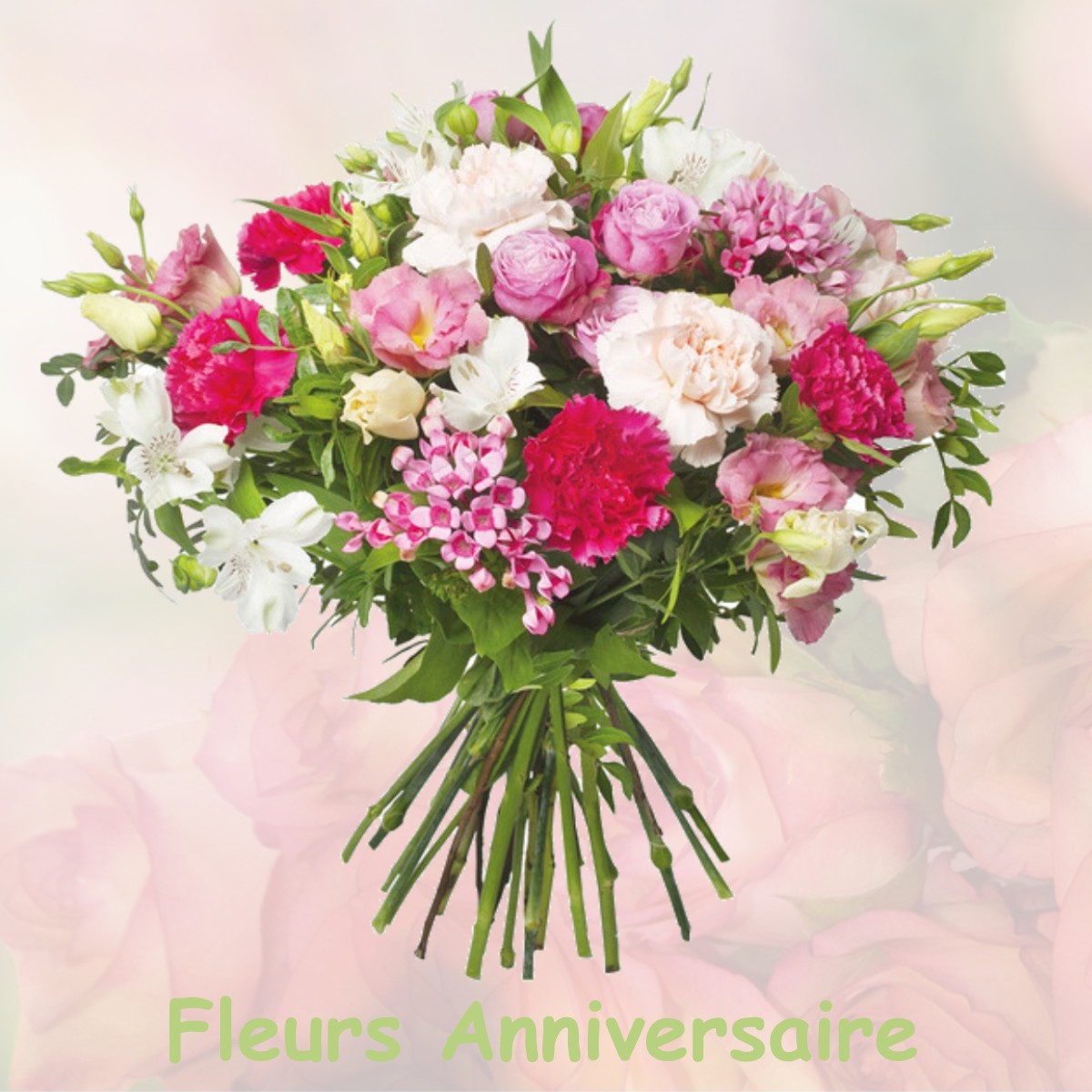 fleurs anniversaire SALLES-ADOUR